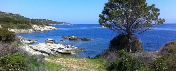 Les avantages du camping de groupe à Calvi